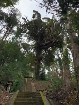 日高神社のその他建物