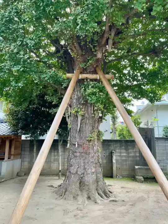 岩淵八雲神社(東京都)