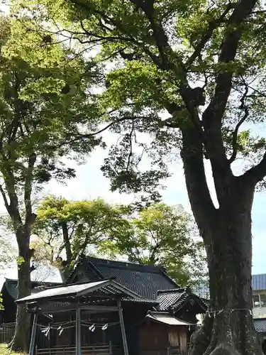 小諸八幡宮(長野県)