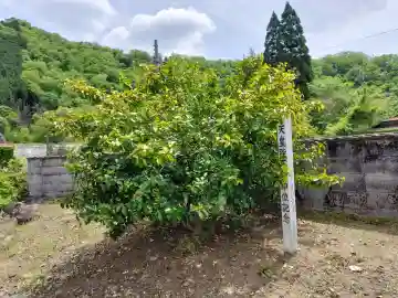 月讀神社(京都府)