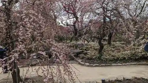 北野天満宮(京都府)