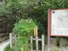 武田神社(山梨県)