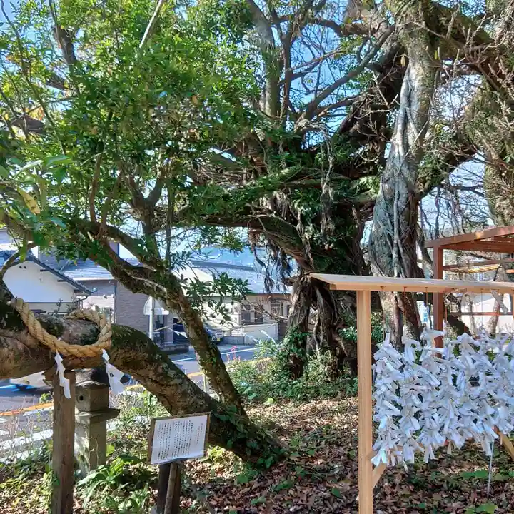 野島神社の自然