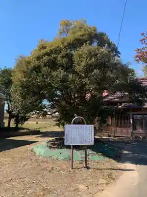 観音堂(千葉県)