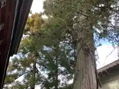 白幡神社(福島県)