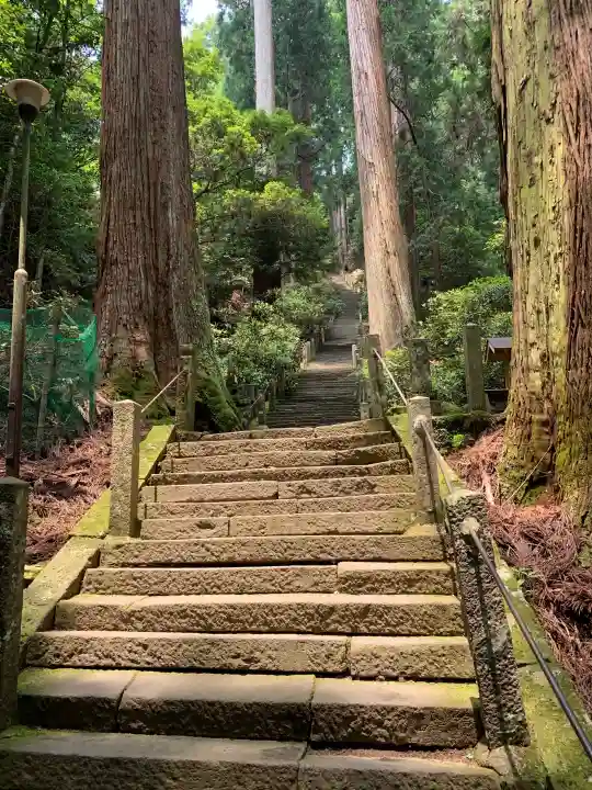 室生寺の{uncategorized: "未分類", other: "その他", undefined: "問題あり", building: "その他建物", grave: "お墓", sacred_gate: "鳥居", guardian: "狛犬", statue: "像", buddha: "仏像", history: "歴史", nature: "自然", garden: "庭園", animal: "動物", pagoda: "塔", temizu: "手水舎", mountain_gate: "山門・神門", sanctuary: "本殿・本堂", subordinate: "末社・摂社", art: "芸術", scenery: "景色", jizo: "地蔵", ema: "絵馬", goshuin: "御朱印", omikuji: "おみくじ", items: "授与品その他", amulet: "お守り", goshuincho: "御朱印帳", eats: "食事", festival: "お祭り", votive_dance: "神楽", shichigosan: "七五三参", wedding: "結婚式", experience: "体験その他", initially: "初詣", around: "周辺", anti_infection: "感染症対策"}