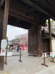 三宝院（三宝院門跡）の山門