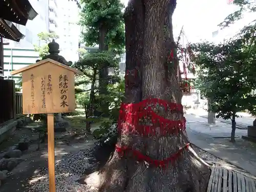 三輪神社の自然