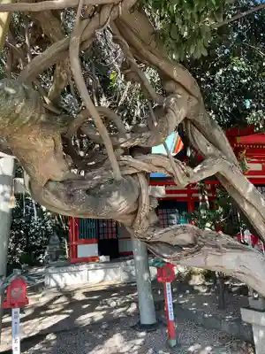 豊藤稲荷神社の自然