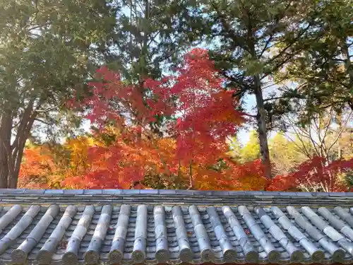 東福禅寺（東福寺）(京都府)
