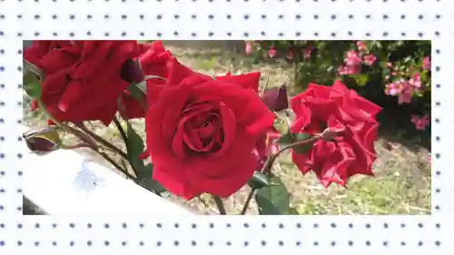 尾久八幡神社(東京都)