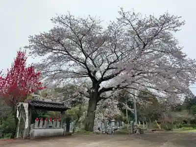 徳性院(千葉県)