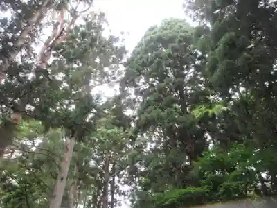 胡四王神社(岩手県)