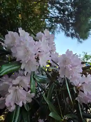 高千穂神社(宮崎県)