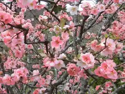 長谷寺(神奈川県)