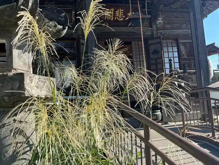 秩父札所十三番 慈眼寺の自然