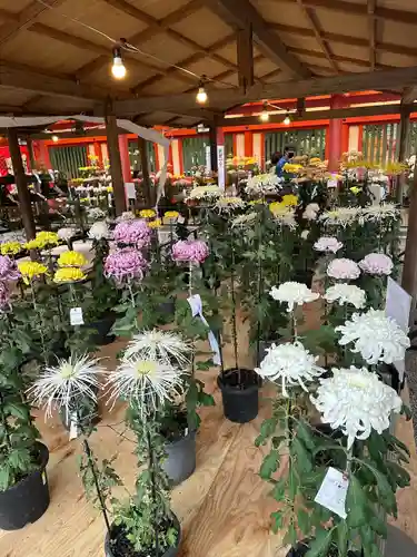 武蔵一宮氷川神社(埼玉県)