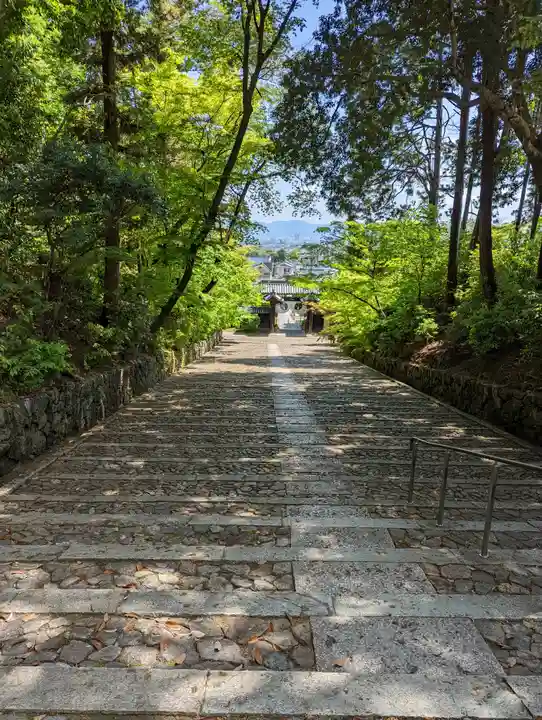 光明寺(粟生光明寺)(京都府)