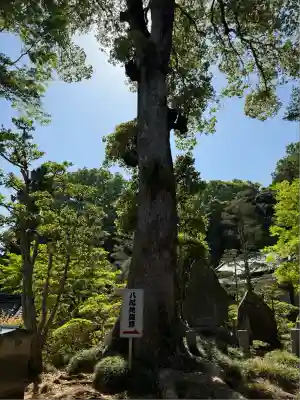 岩殿山安楽寺（吉見観音）(埼玉県)