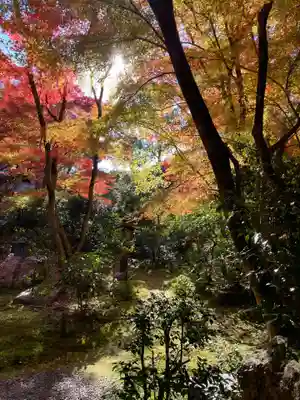 来迎院(京都府)
