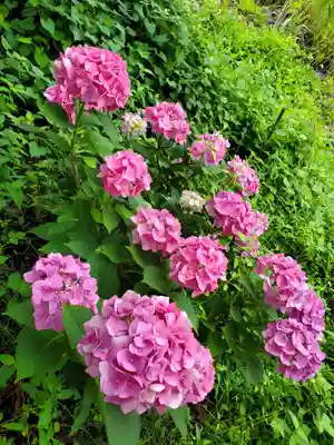 高司神社〜むすびの神の鎮まる社〜(福島県)