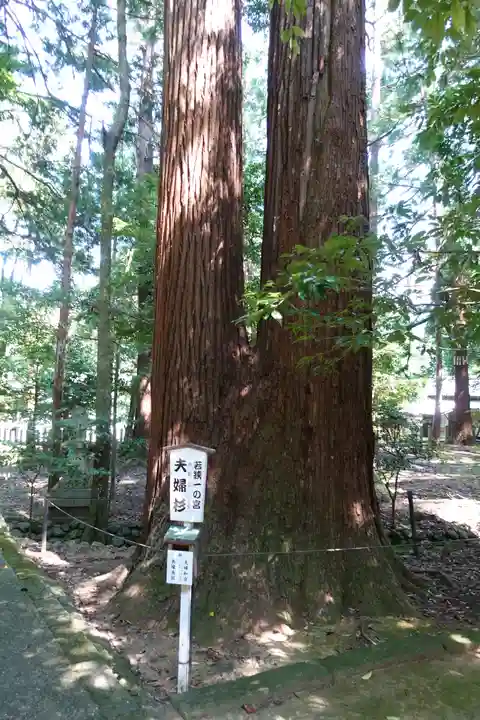 若狭彦神社(上社)の自然