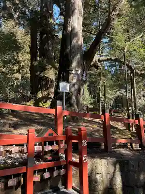 日光二荒山神社(栃木県)