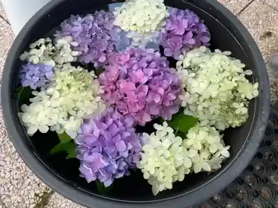 美幌神社(北海道)