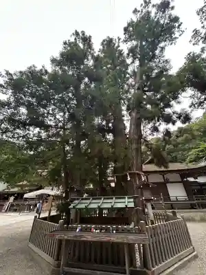 大神神社(奈良県)