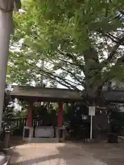 前川神社の手水