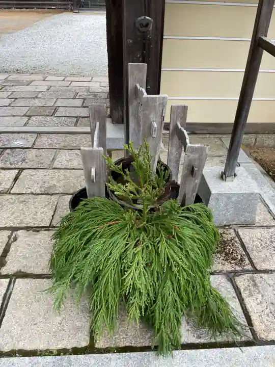 龍光院(和歌山県)