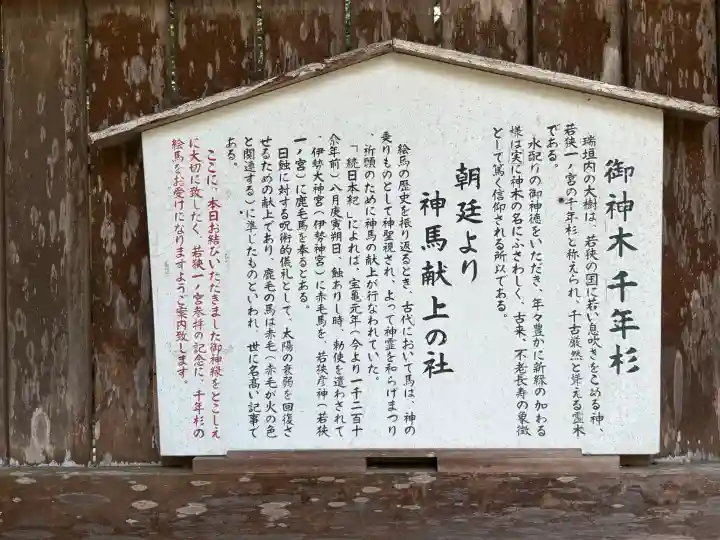 若狭姫神社(若狭彦神社下社)(福井県)
