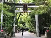 若宮八幡宮(高知県)