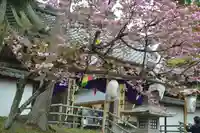 中尊寺(岩手県)