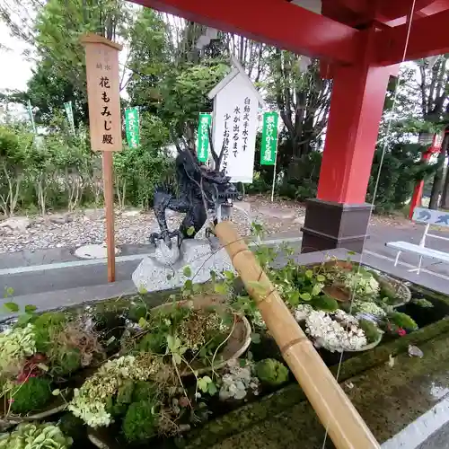 樽前山神社の手水舎