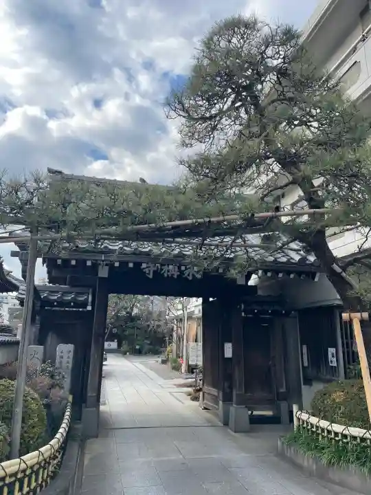永稱寺の{uncategorized: "未分類", other: "その他", undefined: "問題あり", building: "その他建物", grave: "お墓", sacred_gate: "鳥居", guardian: "狛犬", statue: "像", buddha: "仏像", history: "歴史", nature: "自然", garden: "庭園", animal: "動物", pagoda: "塔", temizu: "手水舎", mountain_gate: "山門・神門", sanctuary: "本殿・本堂", subordinate: "末社・摂社", art: "芸術", scenery: "景色", jizo: "地蔵", ema: "絵馬", goshuin: "御朱印", omikuji: "おみくじ", items: "授与品その他", amulet: "お守り", goshuincho: "御朱印帳", eats: "食事", festival: "お祭り", votive_dance: "神楽", shichigosan: "七五三参", wedding: "結婚式", experience: "体験その他", initially: "初詣", around: "周辺", anti_infection: "感染症対策"}