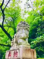 香取神宮の狛犬