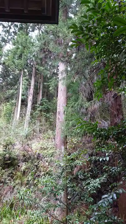 青渭神社里宮の自然