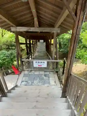 高台寺（高台寿聖禅寺・高臺寺）(京都府)