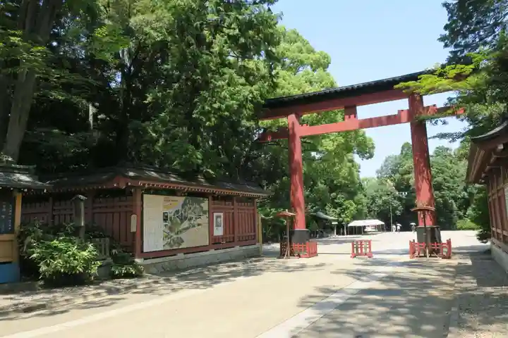 武蔵一宮氷川神社(埼玉県)