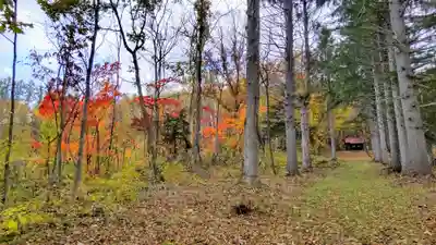 中宇莫別神社の周辺