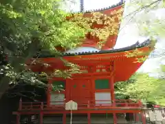 金剛宝寺（紀三井寺）(和歌山県)