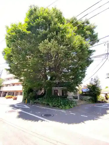 小野神社(東京都)