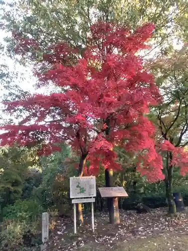 玉野御嶽神社の自然