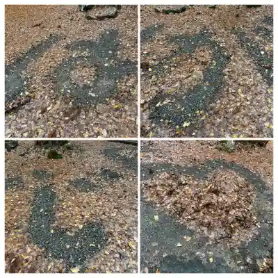 羽賀寺(福井県)