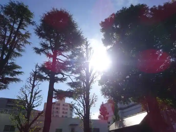 お三の宮日枝神社の自然