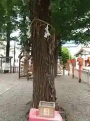 草加神社の庭園