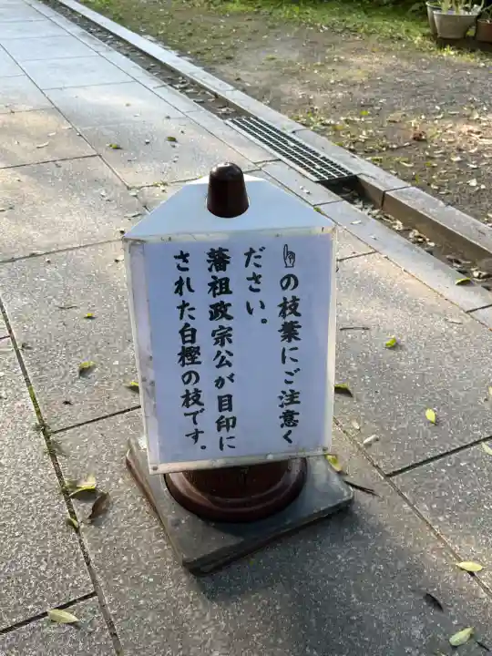 栽松院の{uncategorized: "未分類", other: "その他", undefined: "問題あり", building: "その他建物", grave: "お墓", sacred_gate: "鳥居", guardian: "狛犬", statue: "像", buddha: "仏像", history: "歴史", nature: "自然", garden: "庭園", animal: "動物", pagoda: "塔", temizu: "手水舎", mountain_gate: "山門・神門", sanctuary: "本殿・本堂", subordinate: "末社・摂社", art: "芸術", scenery: "景色", jizo: "地蔵", ema: "絵馬", goshuin: "御朱印", omikuji: "おみくじ", items: "授与品その他", amulet: "お守り", goshuincho: "御朱印帳", eats: "食事", festival: "お祭り", votive_dance: "神楽", shichigosan: "七五三参", wedding: "結婚式", experience: "体験その他", initially: "初詣", around: "周辺", anti_infection: "感染症対策"}
