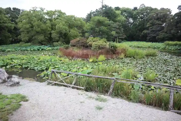 勧修寺(京都府)