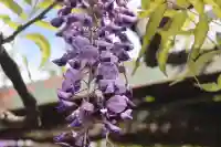 國領神社の{uncategorized: "未分類", other: "その他", undefined: "問題あり", building: "その他建物", grave: "お墓", sacred_gate: "鳥居", guardian: "狛犬", statue: "像", buddha: "仏像", history: "歴史", nature: "自然", garden: "庭園", animal: "動物", pagoda: "塔", temizu: "手水舎", mountain_gate: "山門・神門", sanctuary: "本殿・本堂", subordinate: "末社・摂社", art: "芸術", scenery: "景色", jizo: "地蔵", ema: "絵馬", goshuin: "御朱印", omikuji: "おみくじ", items: "授与品その他", amulet: "お守り", goshuincho: "御朱印帳", eats: "食事", festival: "お祭り", votive_dance: "神楽", shichigosan: "七五三参", wedding: "結婚式", experience: "体験その他", initially: "初詣", around: "周辺", anti_infection: "感染症対策"}